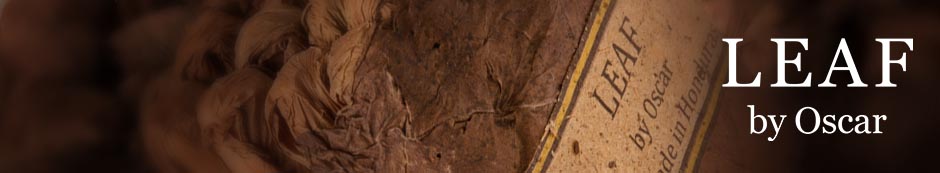 Leaf by Oscar Sumatra